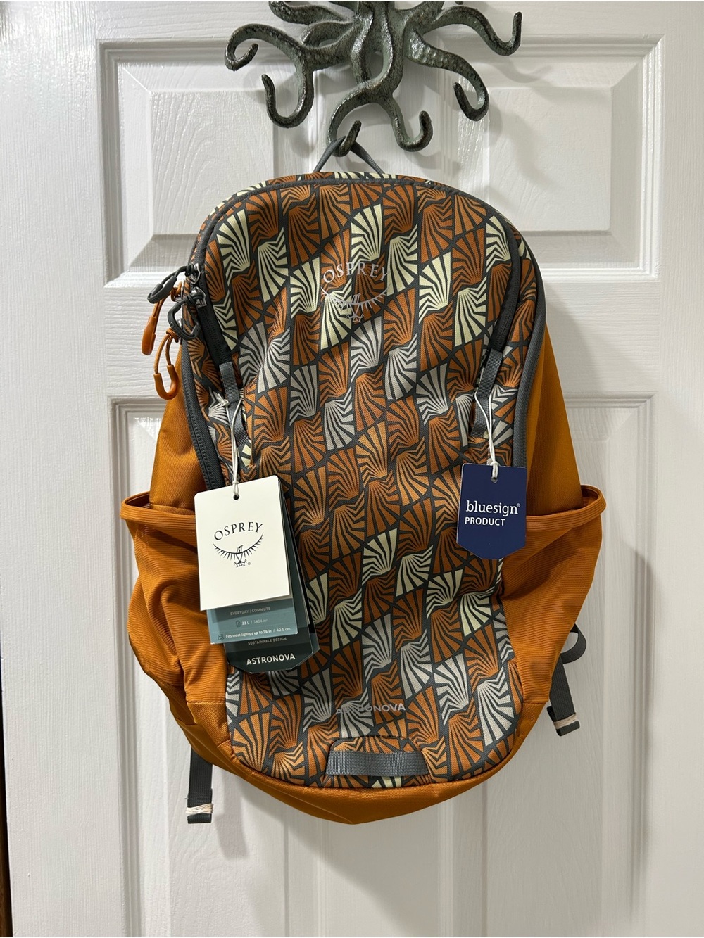 Osprey 23 litre Astronova backpack